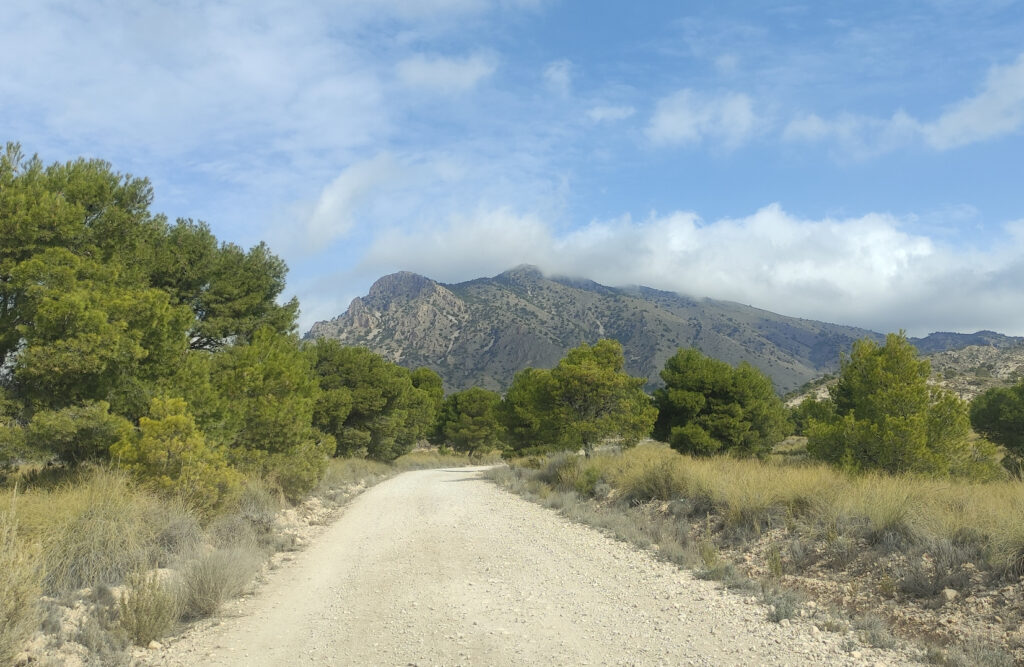 camino subida sierra del carche